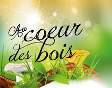Au coeur des bois